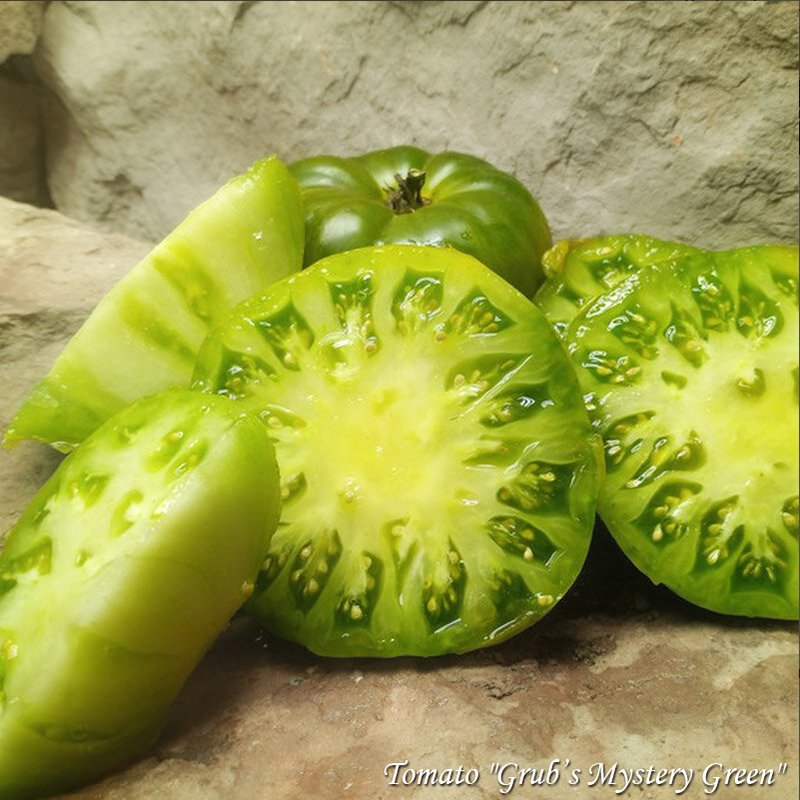 Tomato Grub’s Mystery Green